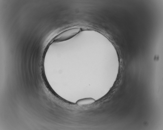 X0000111170007200908121058