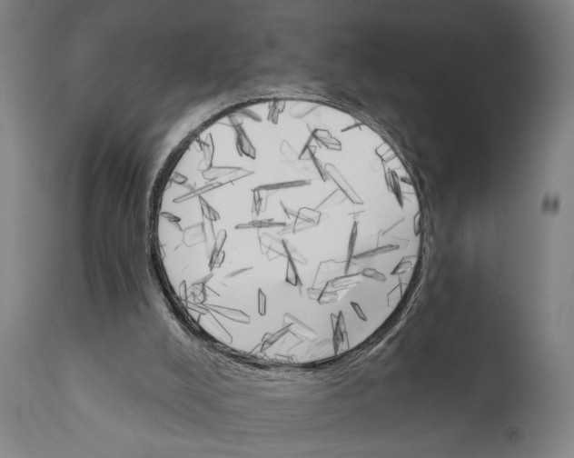 X0000111170008200908121058