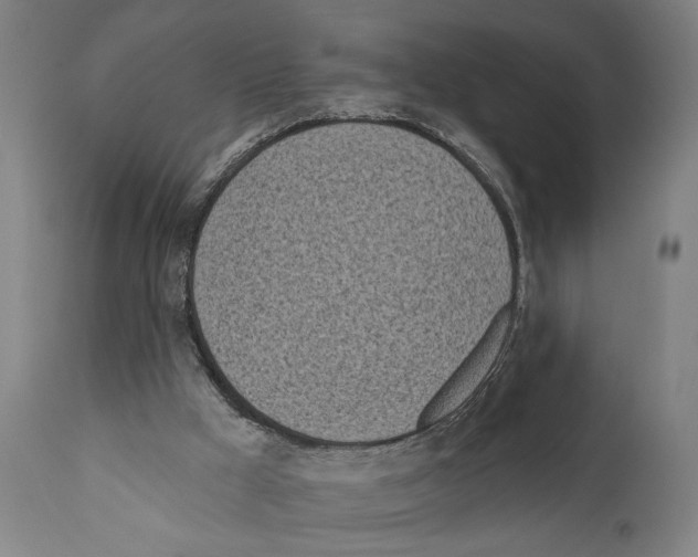 X0000111170009200908121058