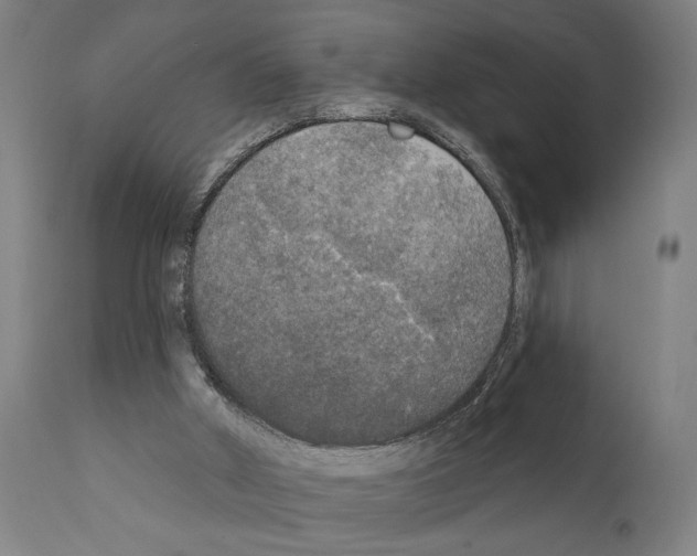 X0000111170010200908121058