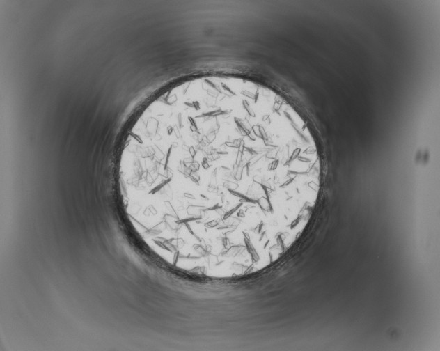 X0000111170012200908121058