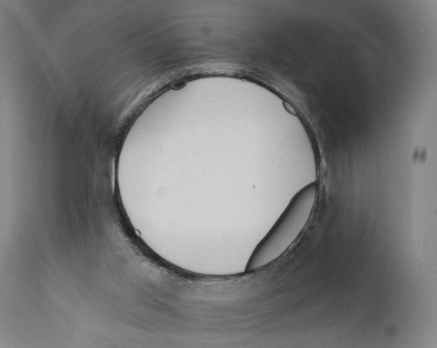 X0000111170013200908121058