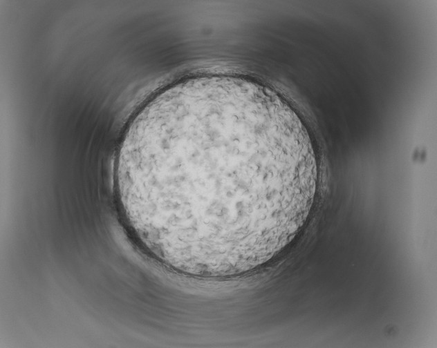 X0000111170014200908121058