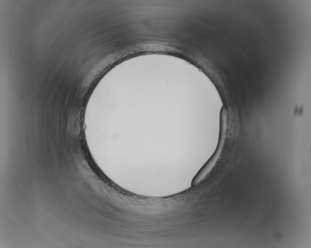 X0000111170015200908121058