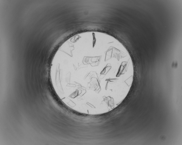 X0000111170016200908121058