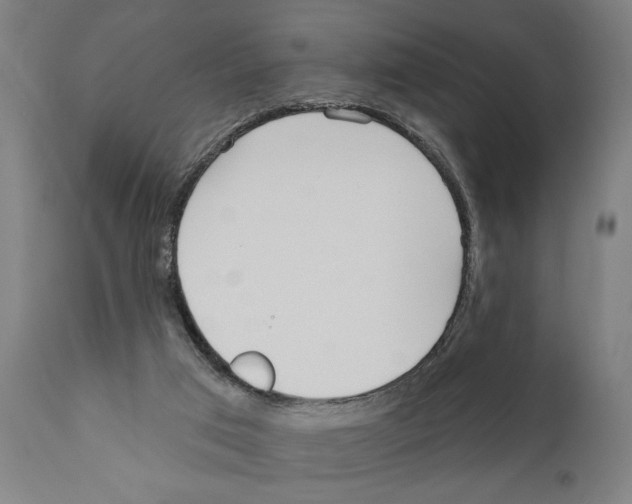 X0000111170017200908121058