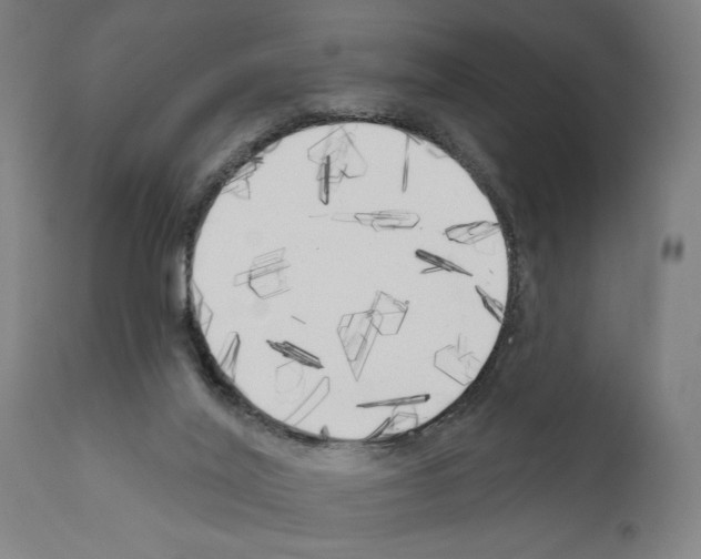 X0000111170020200908121058