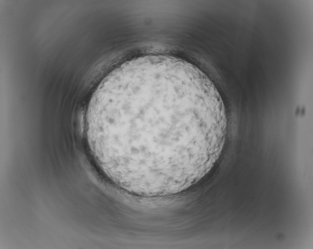 X0000111170022200908121057