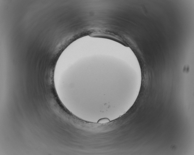 X0000111170023200908121057