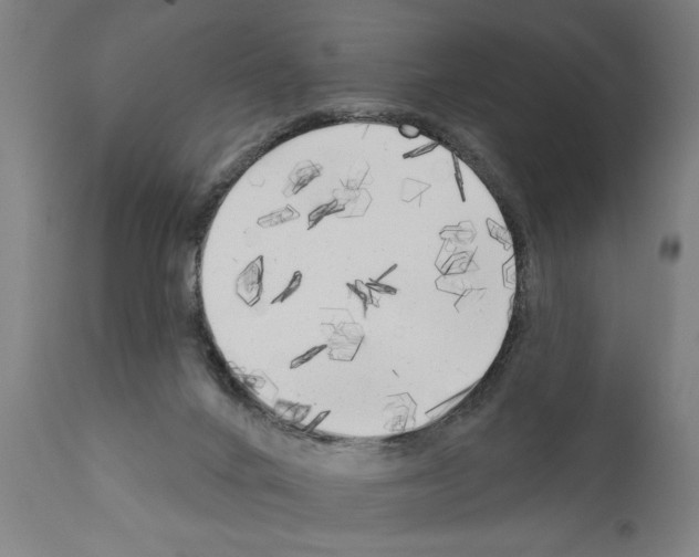 X0000111170024200908121057