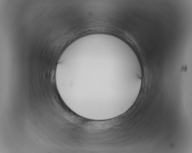 X0000111170025200908121057