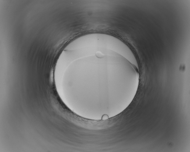 X0000111170027200908121057