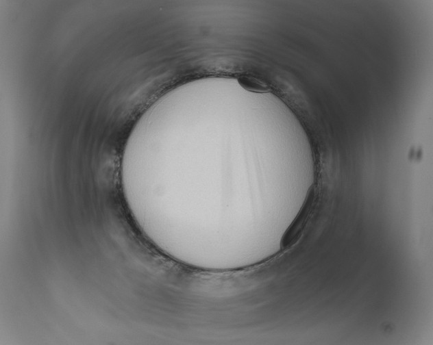 X0000111170029200908121057