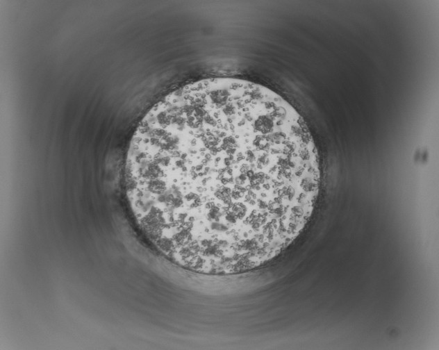 X0000111170030200908121057