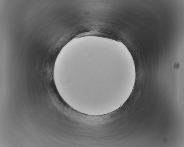 X0000111170031200908121057