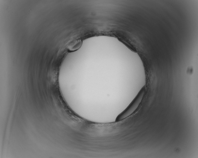 X0000111170033200908121057