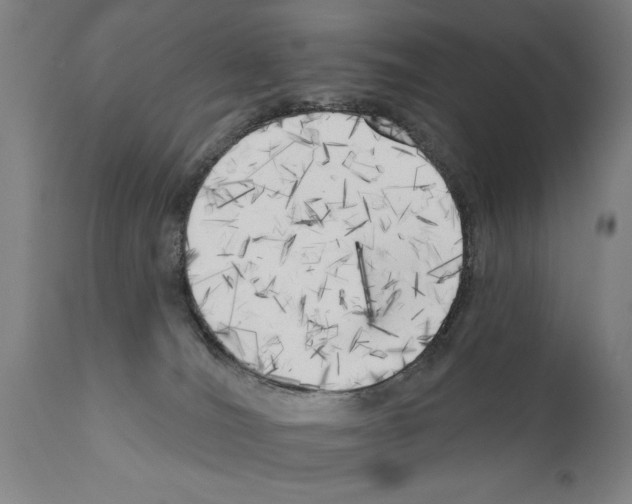 X0000111170036200908121057