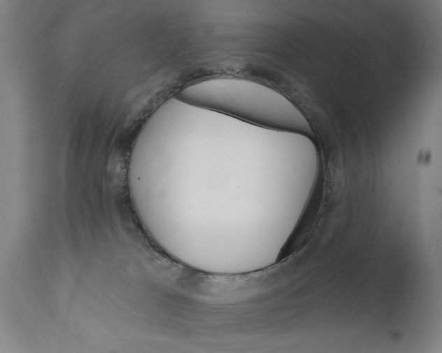 X0000111170037200908121057