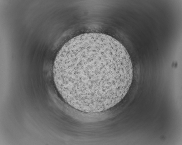 X0000111170038200908121057