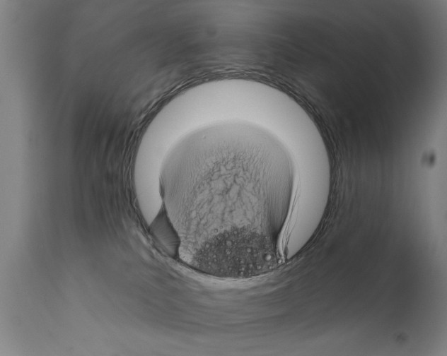 X0000111170039200908121057