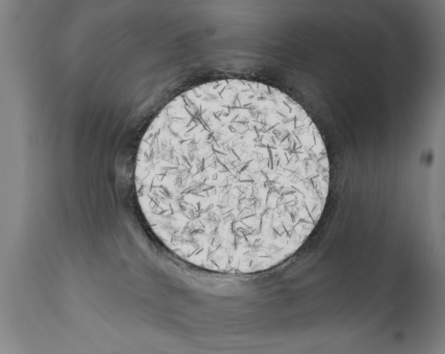 X0000111170040200908121057