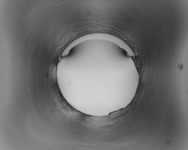 X0000111170041200908121057