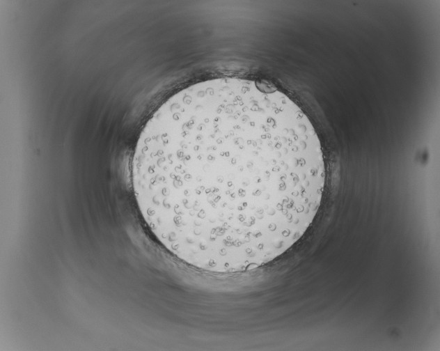 X0000111170042200908121057