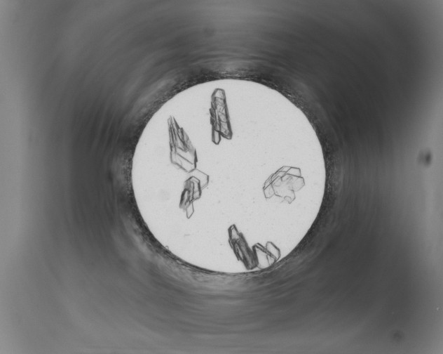 X0000111170044200908121057