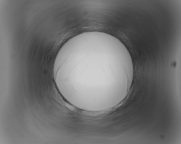 X0000111170045200908121057