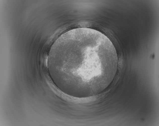 X0000111170046200908121057