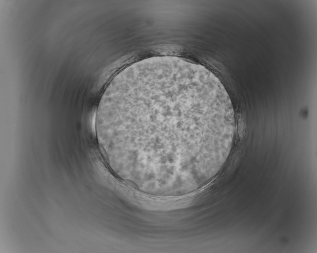 X0000111170047200908121057