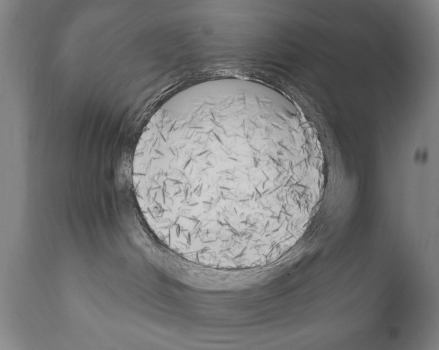 X0000111170048200908121057