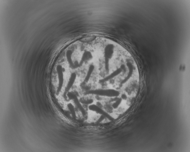 X0000111170049200908121056