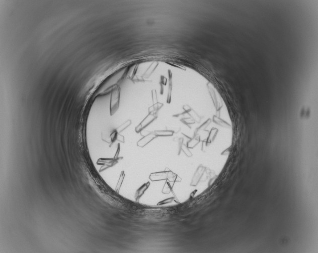 X0000111170050200908121056