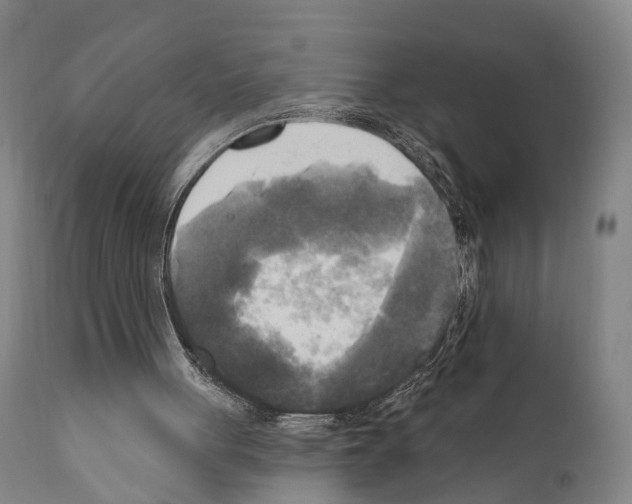 X0000111170051200908121056