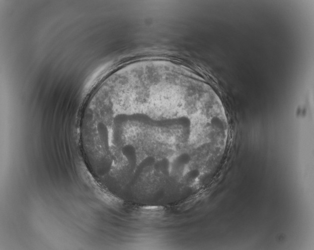 X0000111170053200908121056