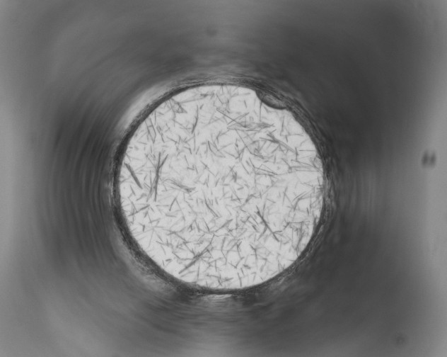 X0000111170054200908121056