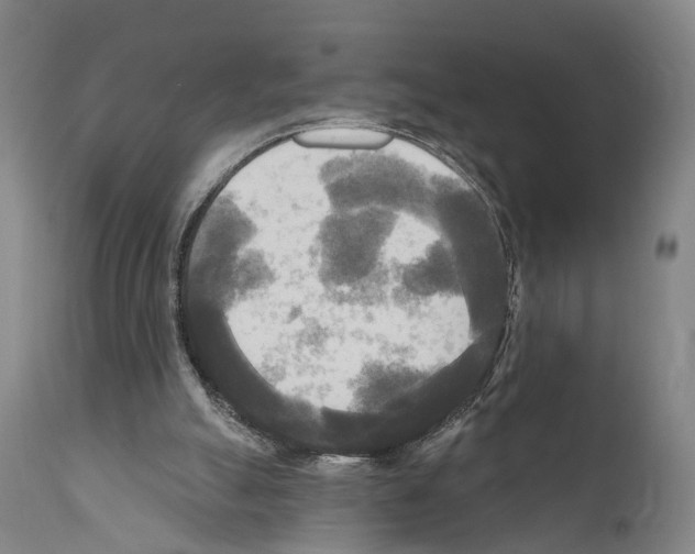 X0000111170055200908121056