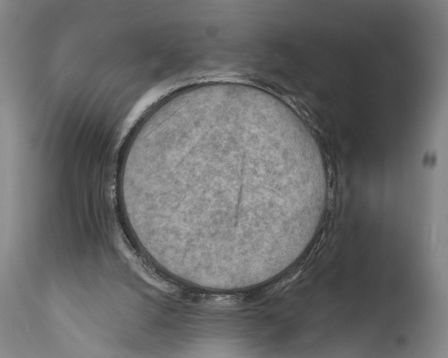 X0000111170056200908121056