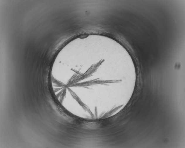 X0000111170058200908121056