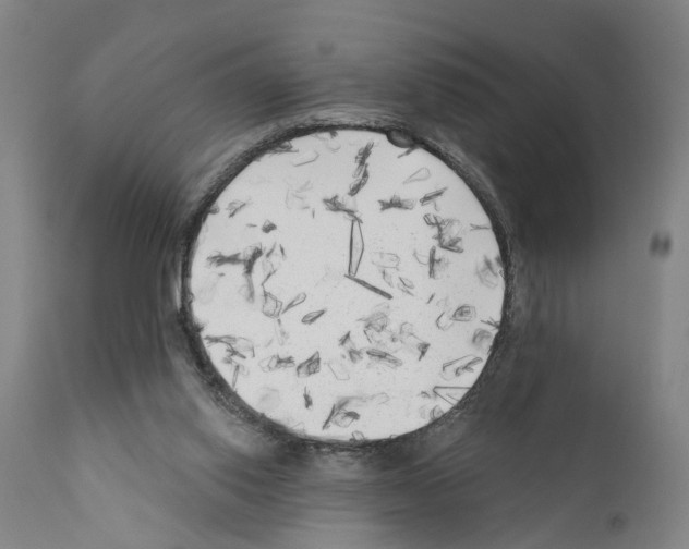 X0000111170062200908121056