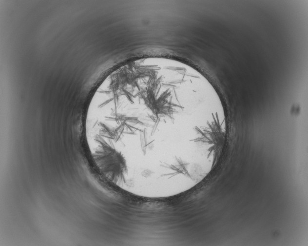 X0000111170063200908121056