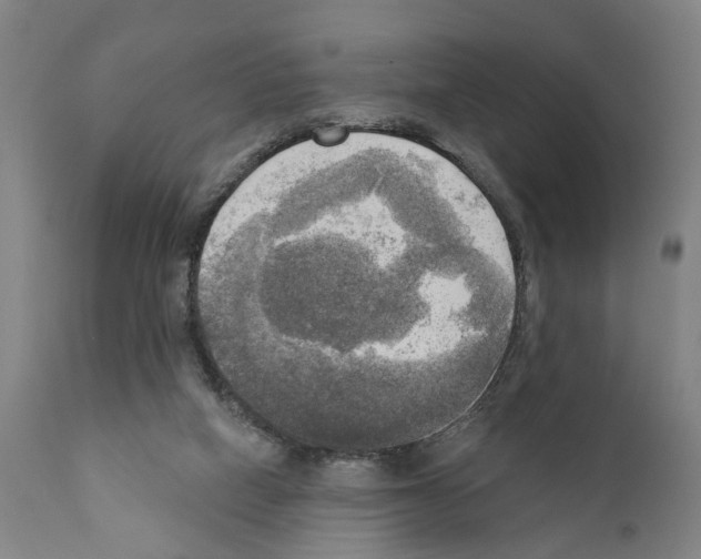 X0000111170066200908121057