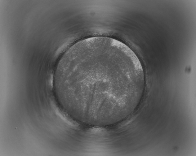 X0000111170067200908121057