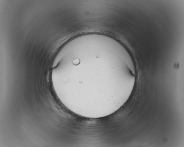 X0000111170068200908121057