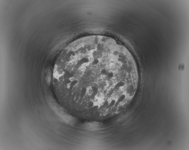 X0000111170069200908121057