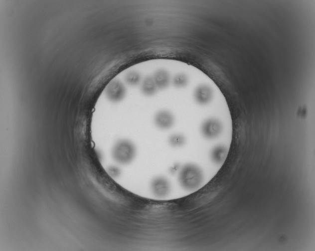 X0000111170072200908121057