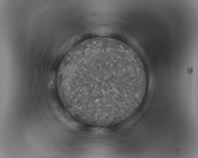 X0000111170073200908121057