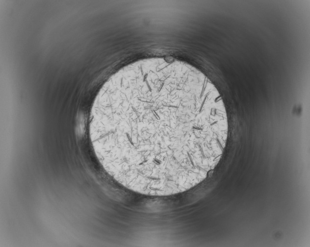 X0000111170075200908121057