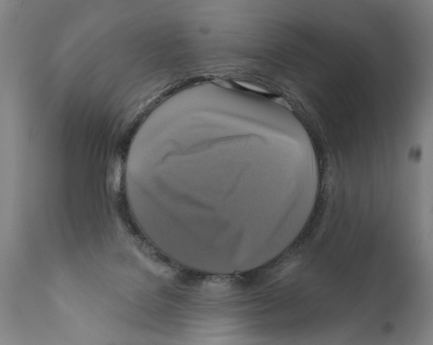 X0000111170076200908121057